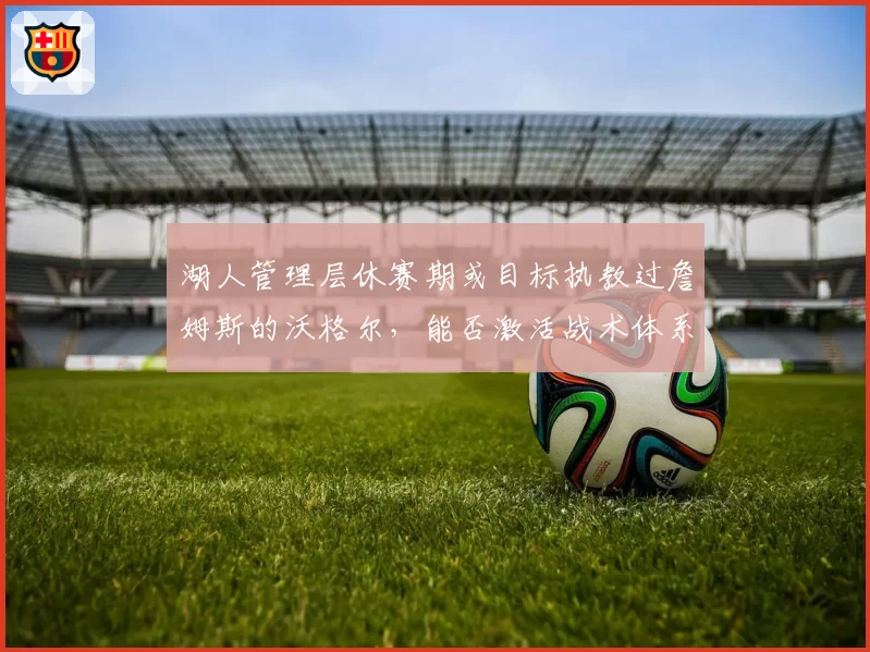 湖人管理层休赛期或目标执教过詹姆斯的沃格尔，能否激活战术体系？