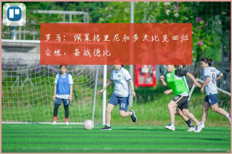 罗马：佩莱格里尼和多夫比克回归合练，备战德比